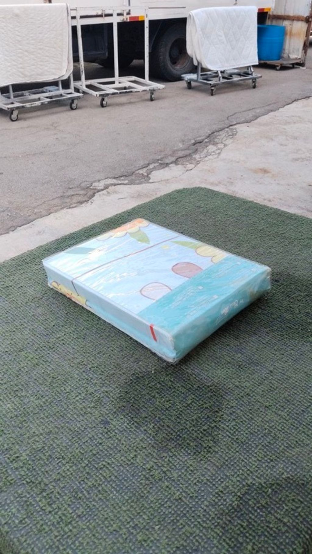 IMAGE 2026-03-08 16:25:28