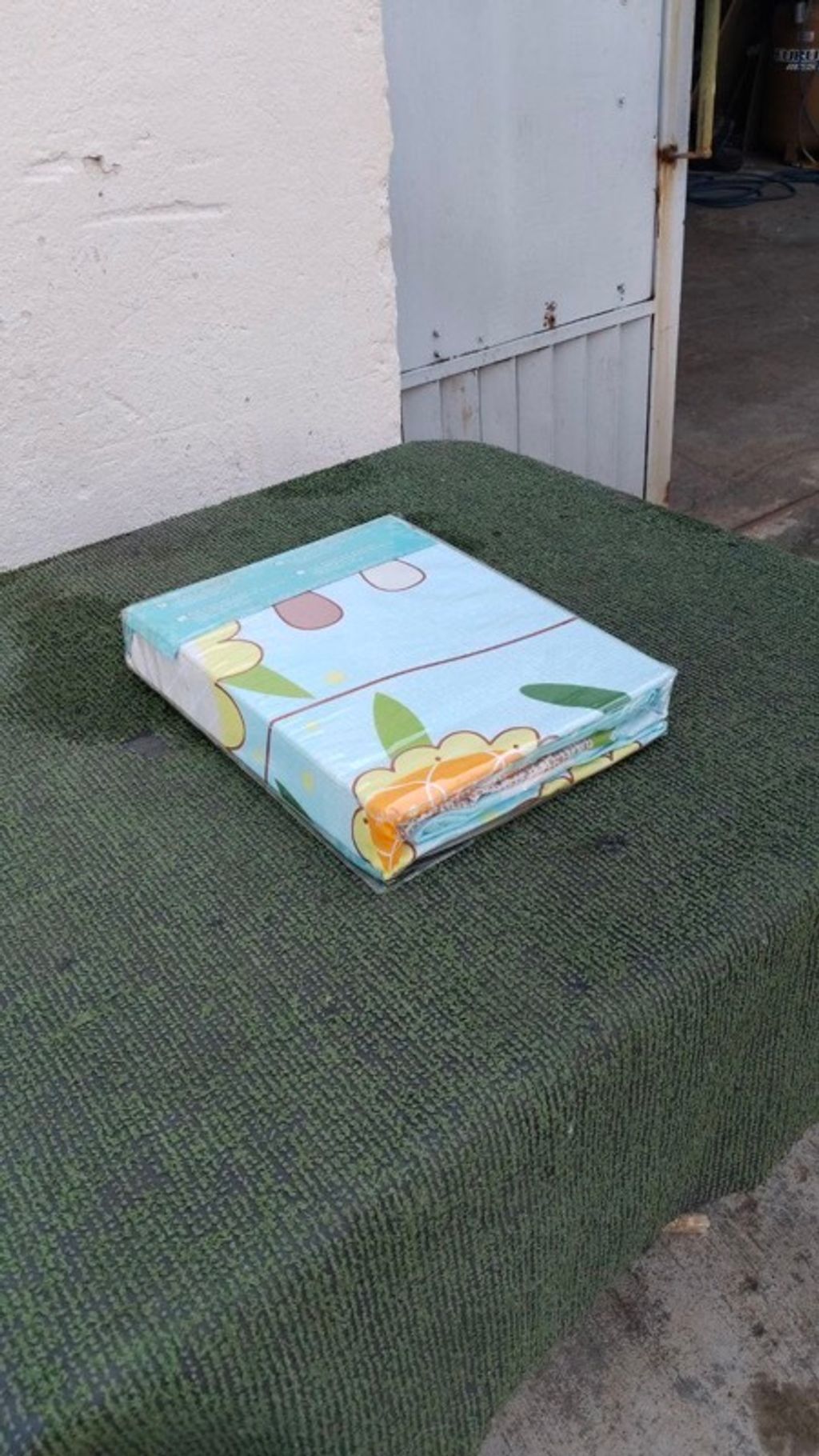 IMAGE 2026-03-08 16:25:31