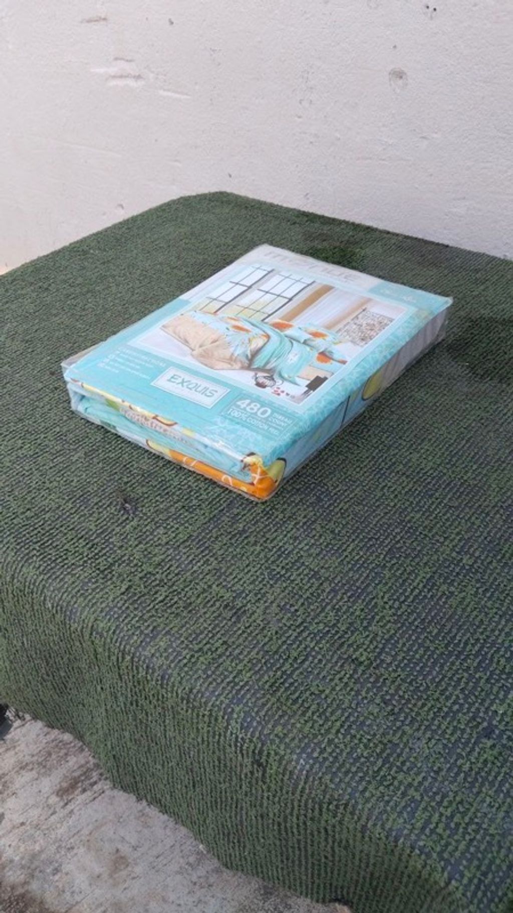 IMAGE 2026-03-08 16:25:20