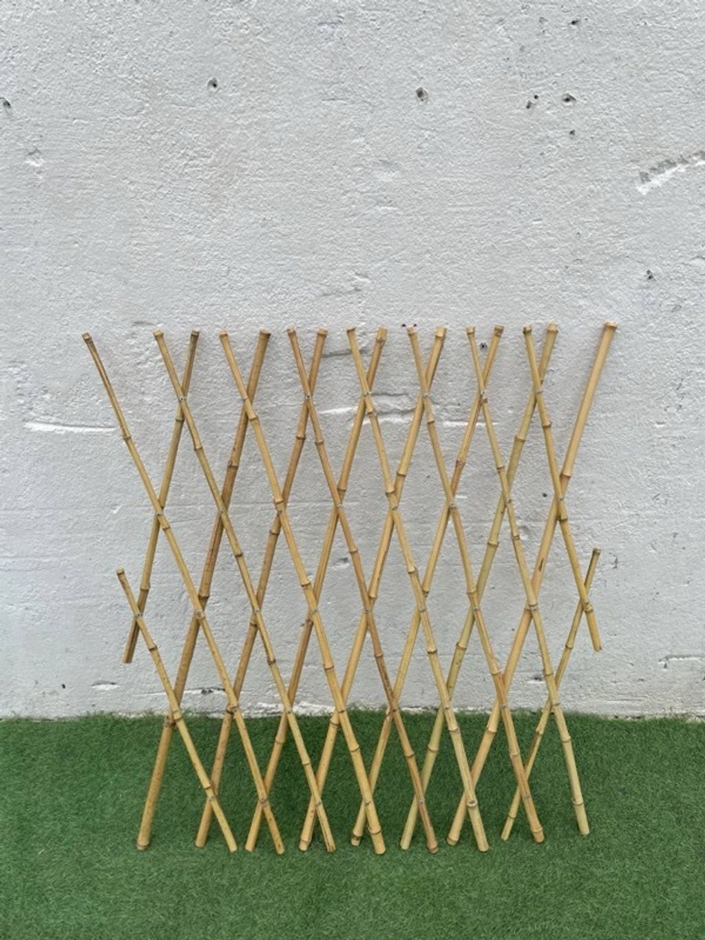YE56BB-5