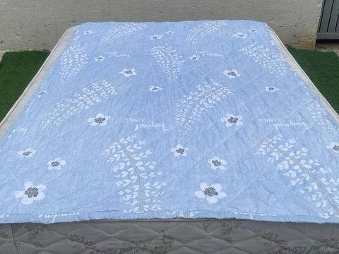C052-1 (Custom)