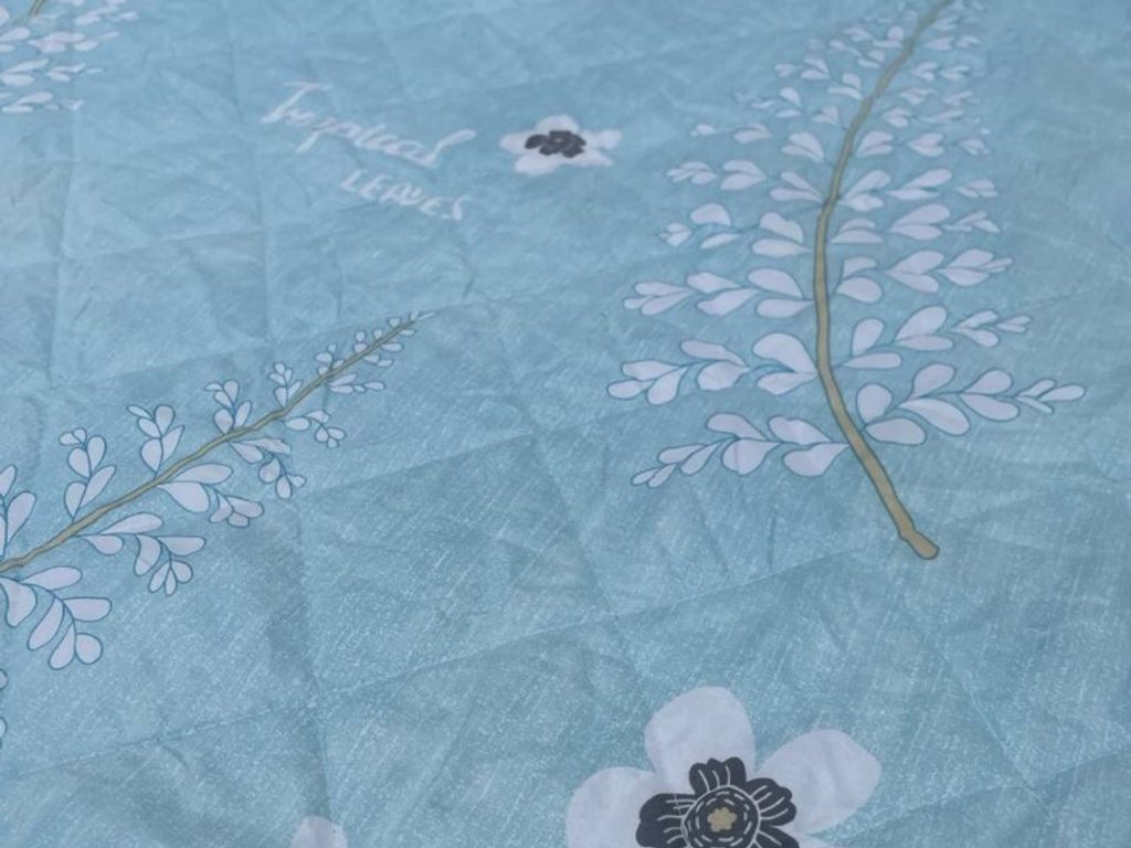C062-6 (Melintang)