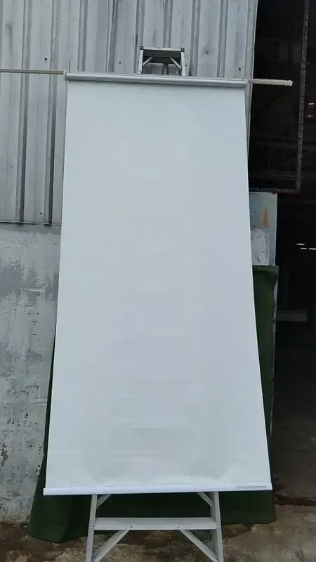 W81C-1