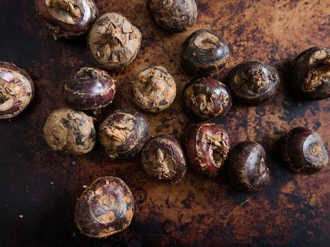 water chestnut.jpg