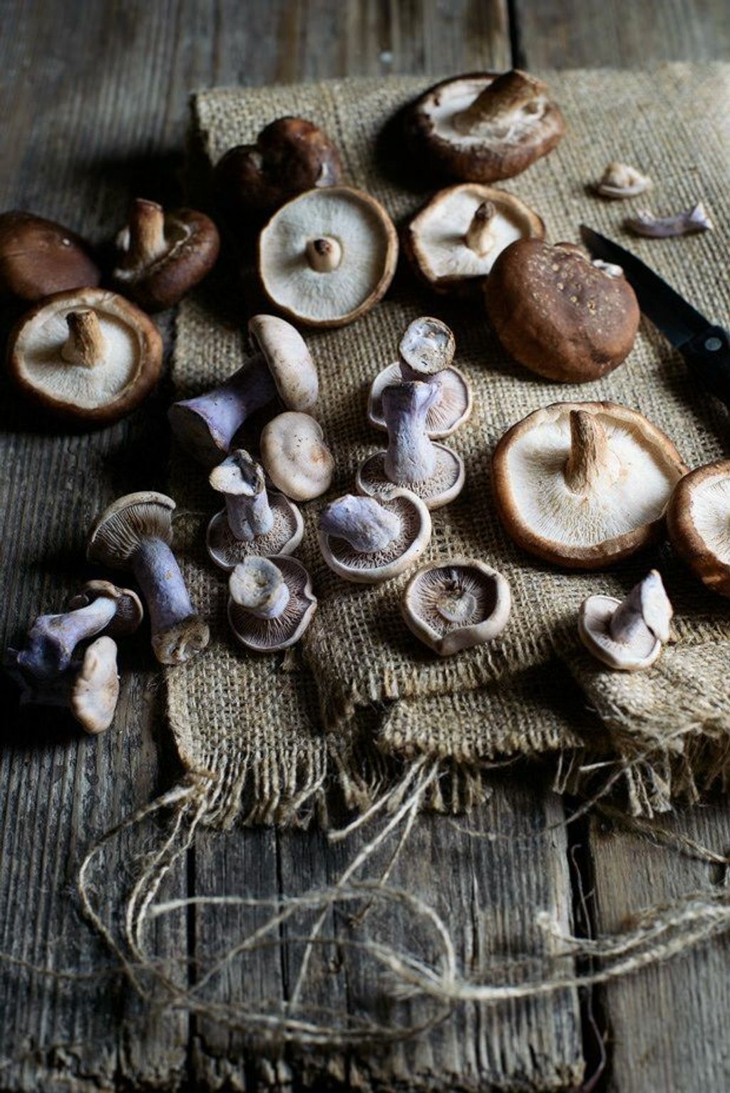 Mushrooms from a farm.jpg