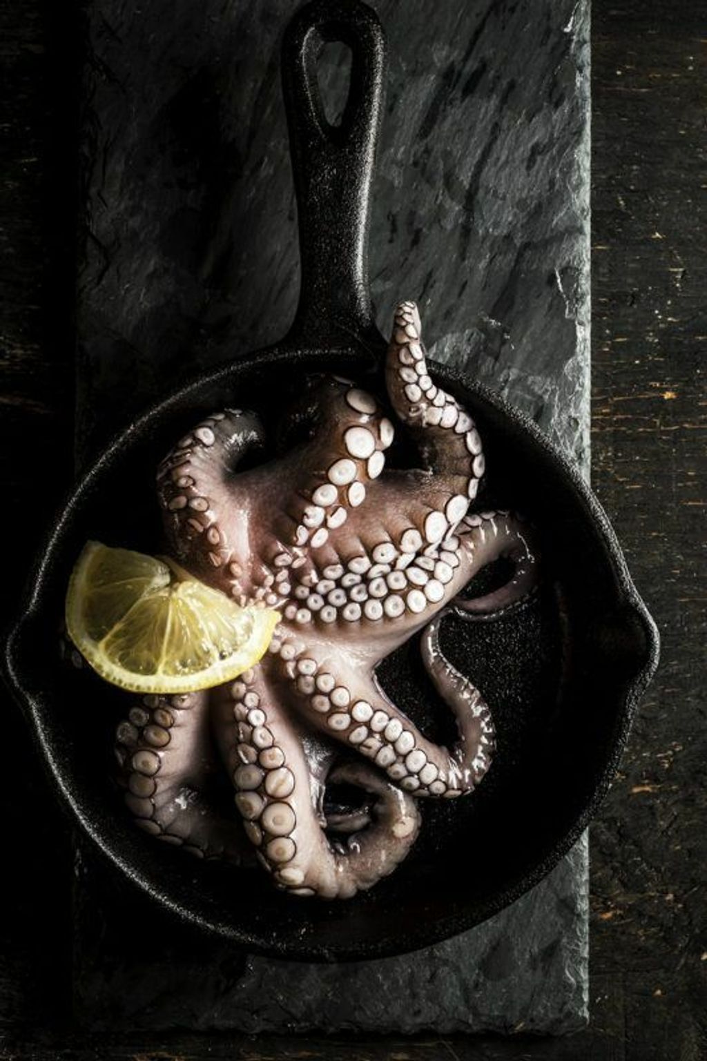 章鱼 Octopus.jpeg