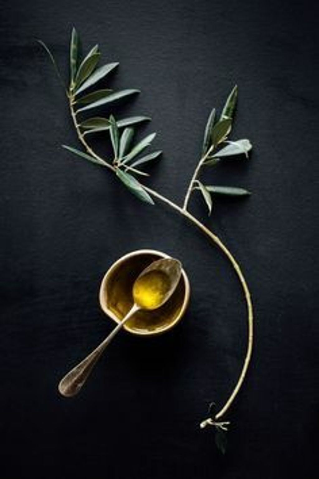 olive 1.jpg