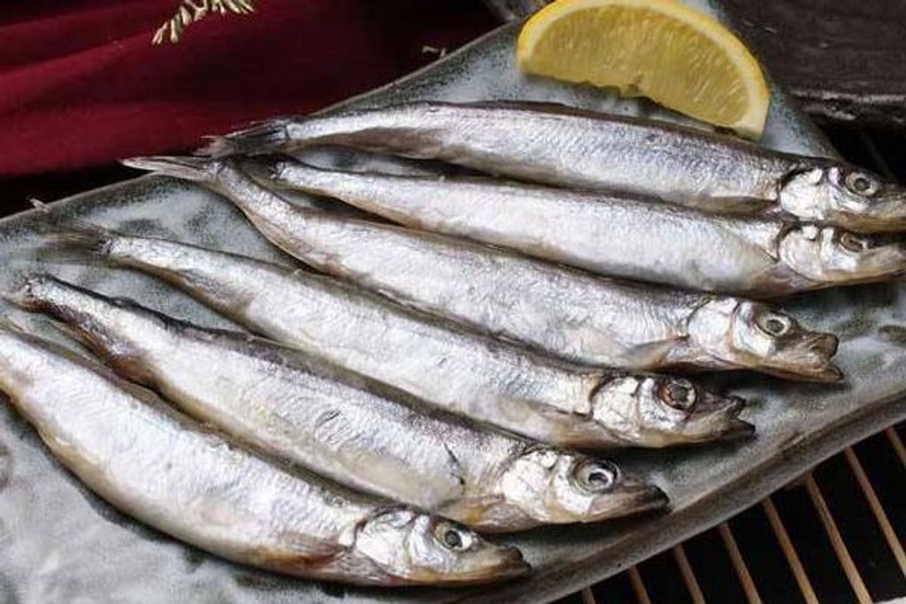 Capelin Shishamo 多春鱼 Xinfreshfish