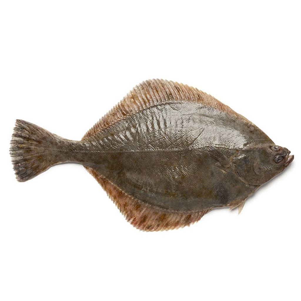 Ikan Sebelah 1kg Vl Seafood