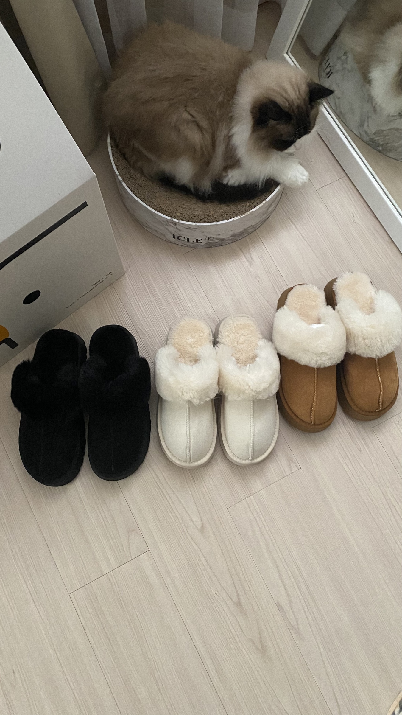 4CAF4665-DA43-43F3-8F4B-E81778842011