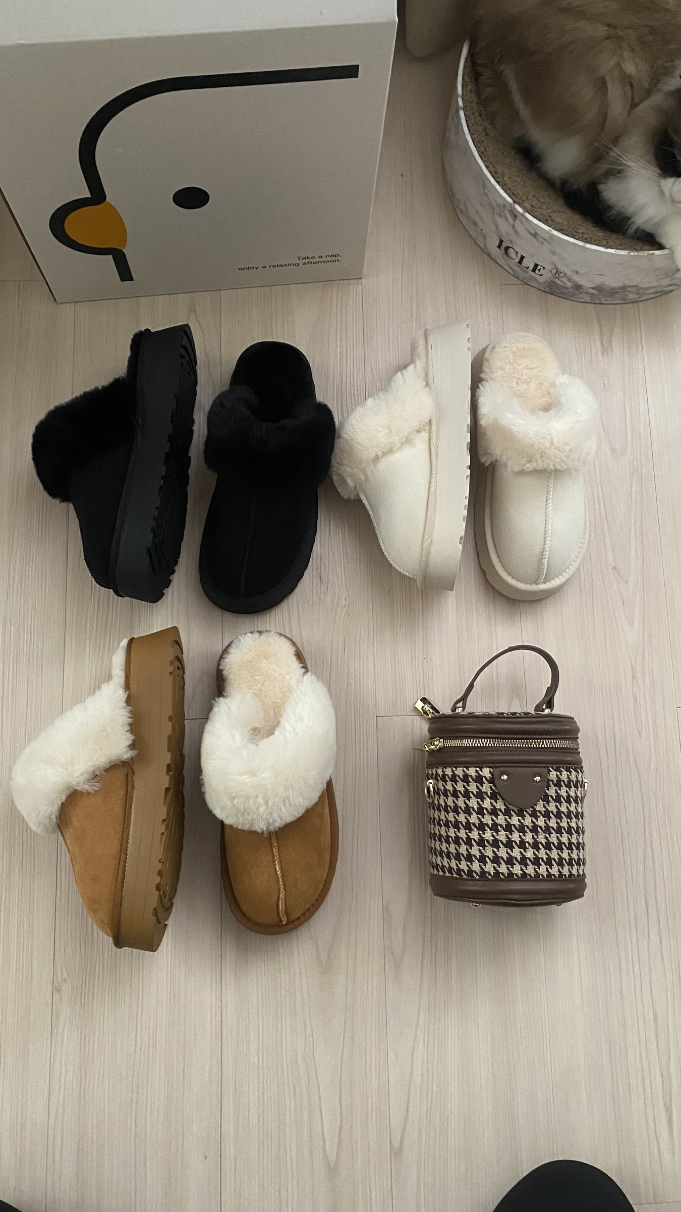 88F5D160-B898-471F-B179-04A53C1E0845