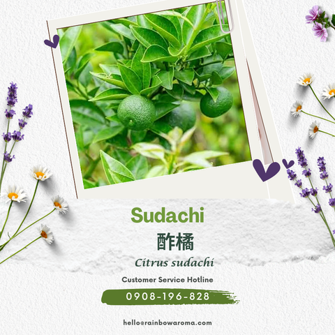 3935，日本酢橘精油（蒸餾）