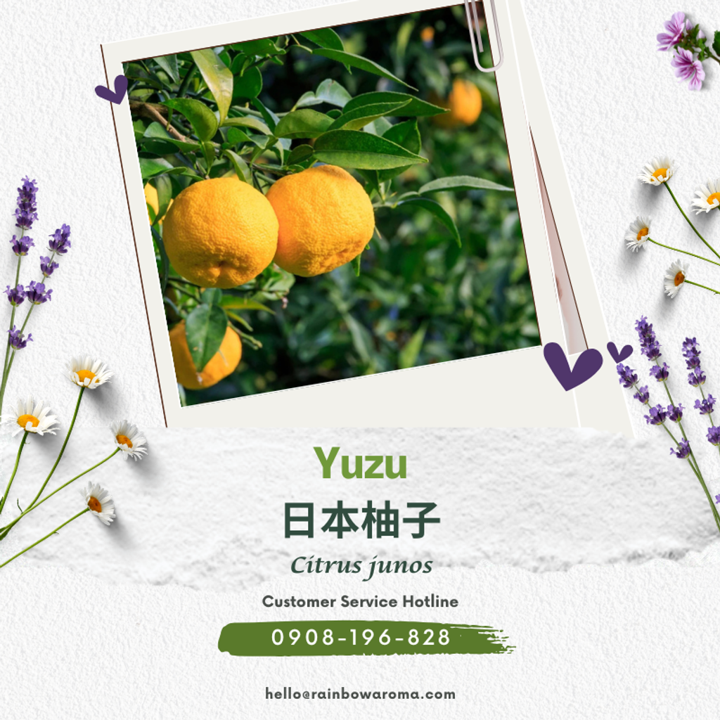 4506，日本柚子精油