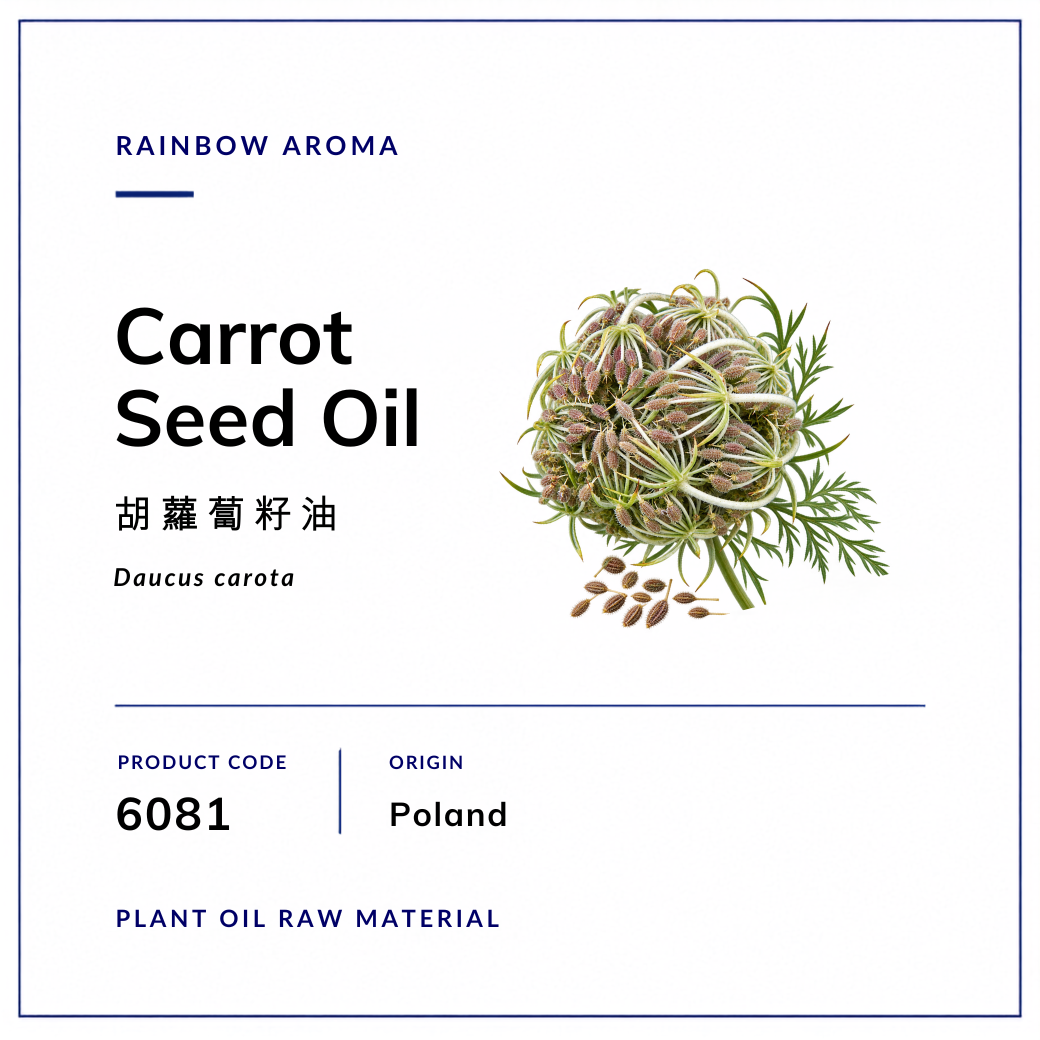 6081