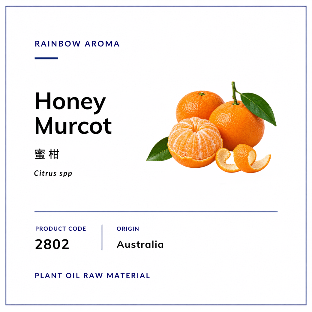 2802