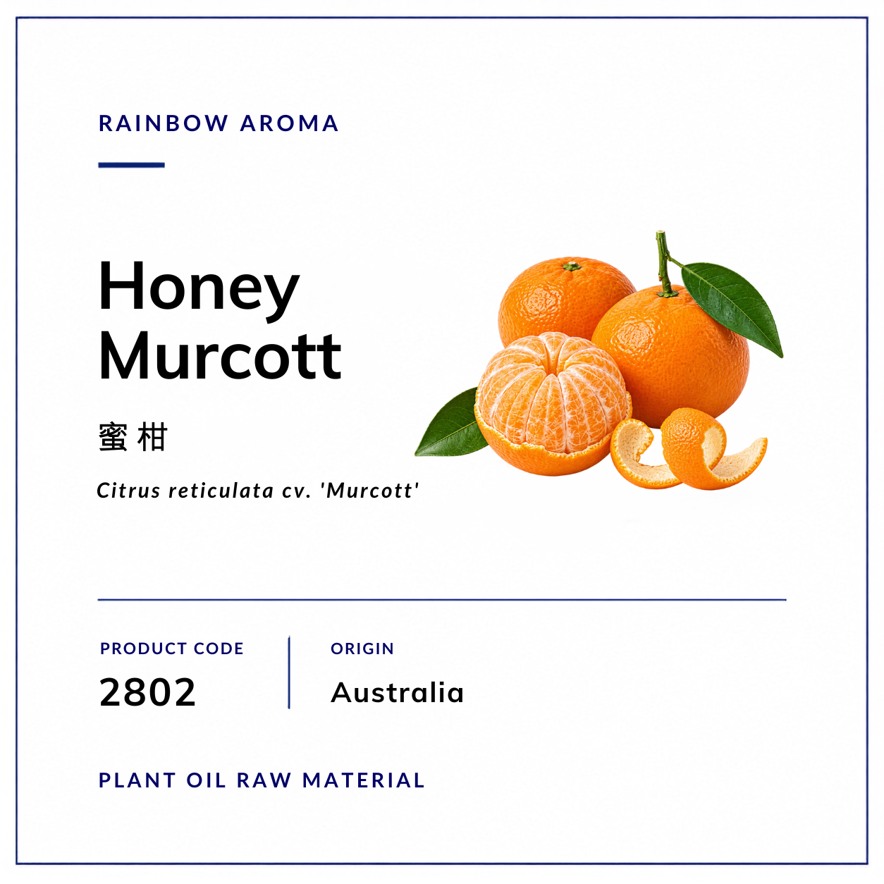2802，蜜柑