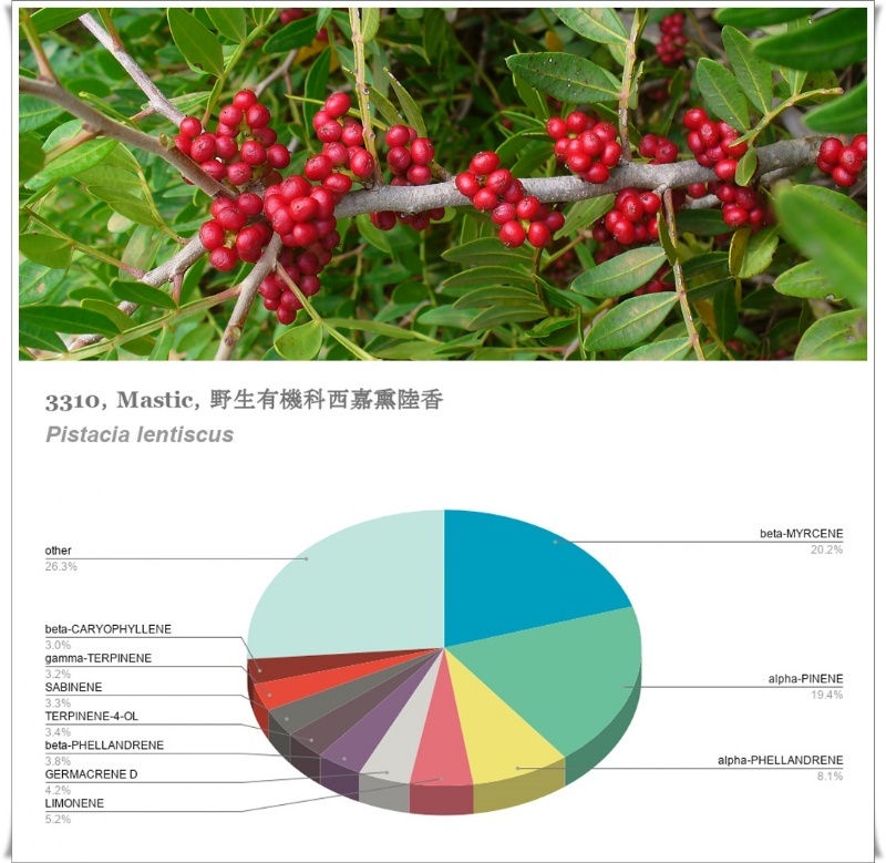 3310丨成分餅圖