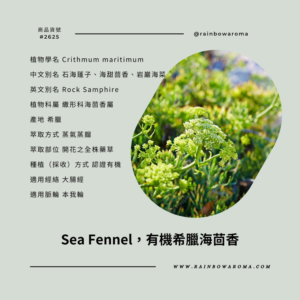2625，Sea Fennel，有機希臘海茴香 (1080 × 1080 像素)