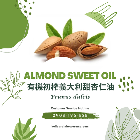 6001，Almond Sweet Oil，有機初榨義大利甜杏仁油