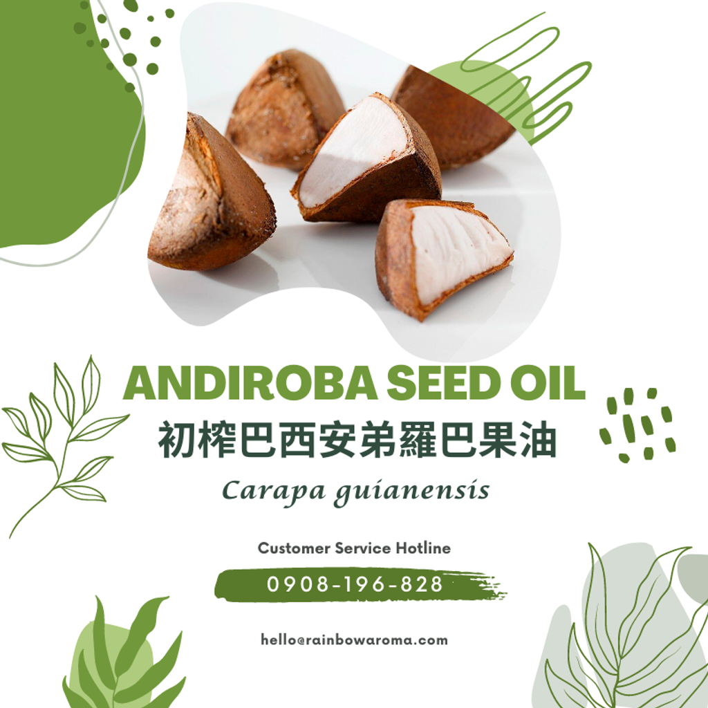 6005，Andiroba Seed Oil，初榨安弟羅巴果油