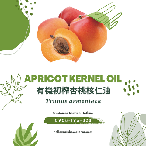 6007，Apricot Kernel Oil，有機初榨杏桃核仁油