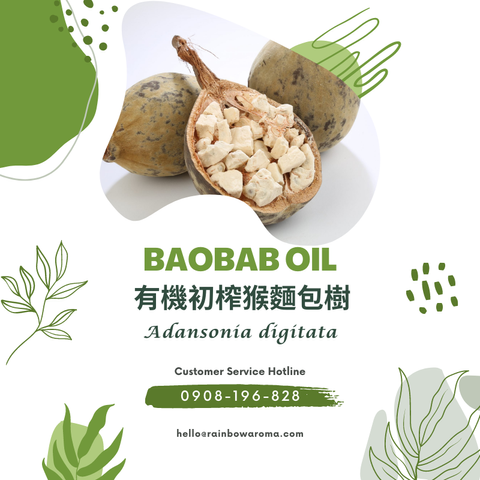 6008，Baobab Oil，有機初榨猴麵包樹
