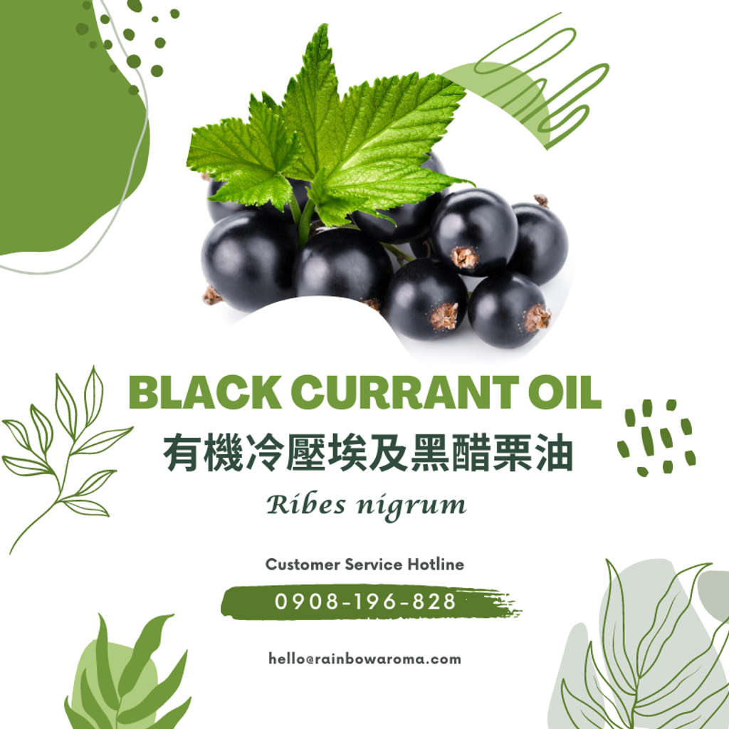6010，Black Currant Oil，有機冷壓埃及黑醋栗油