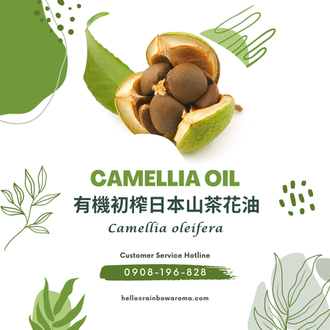 6013，Camellia Oil，有機初榨日本山茶花油