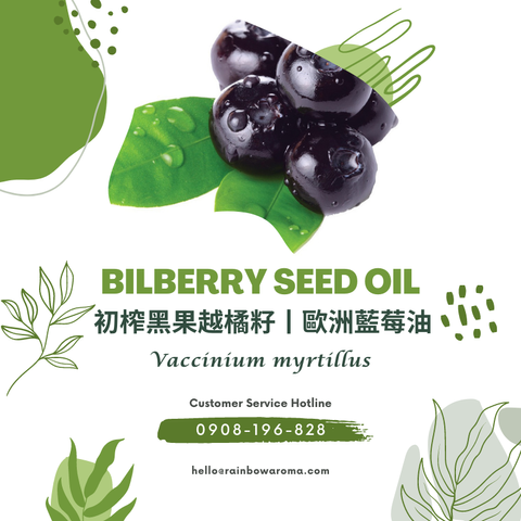 6017，Bilberry Seed Oil，初榨黑果越橘籽丨歐洲藍莓油