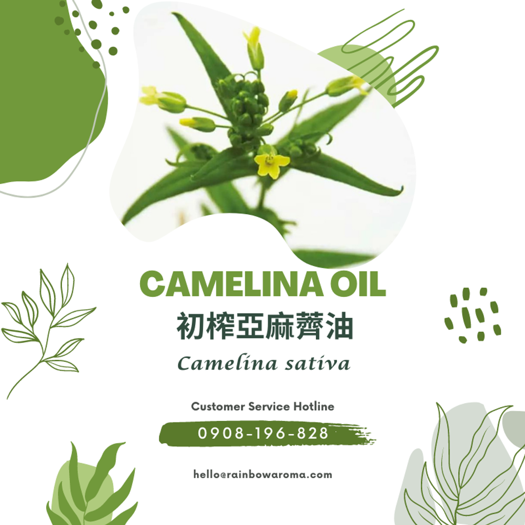 6025，Camelina Oil，初榨亞麻薺油