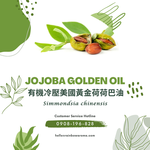 6026，Jojoba Golden Oil，有機冷壓美國黃金荷荷巴油