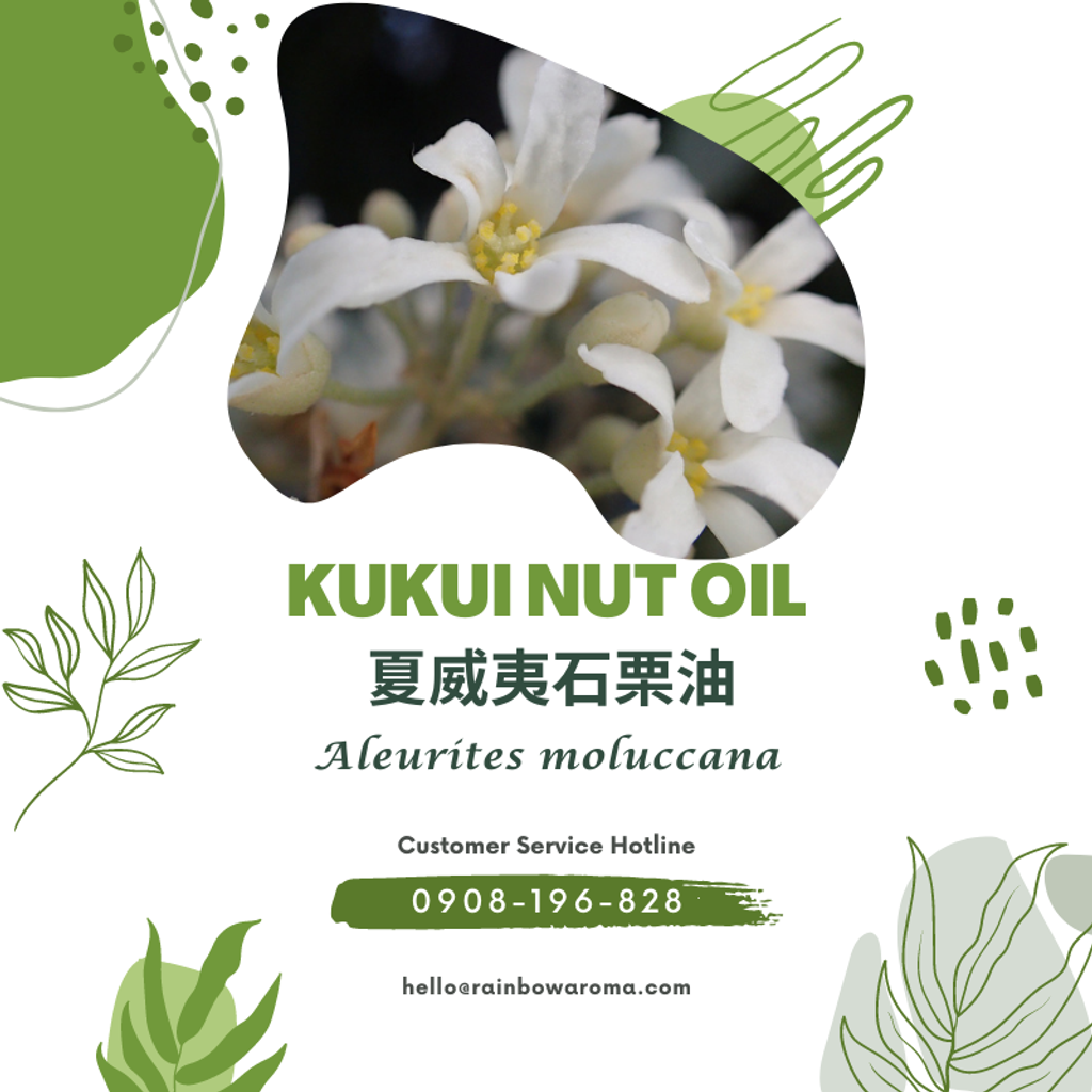 6027，Kukui Nut Oil，夏威夷石栗油