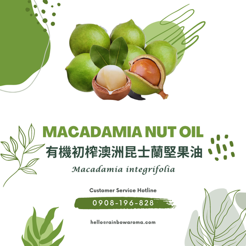 6028，Macadamia Nut Oil，有機初榨澳洲昆士蘭堅果油