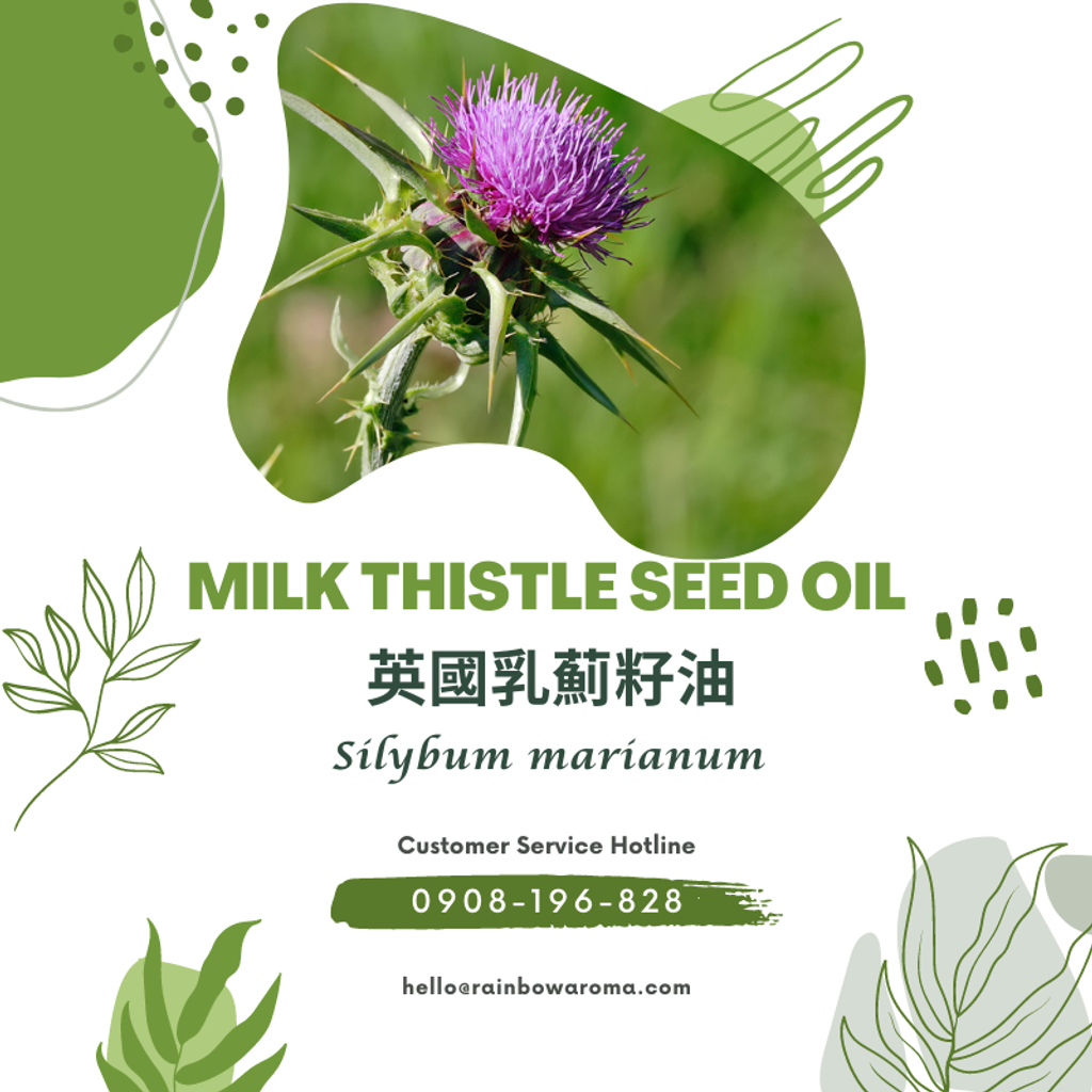 6029，Milk Thistle Seed Oil，英國乳薊籽油