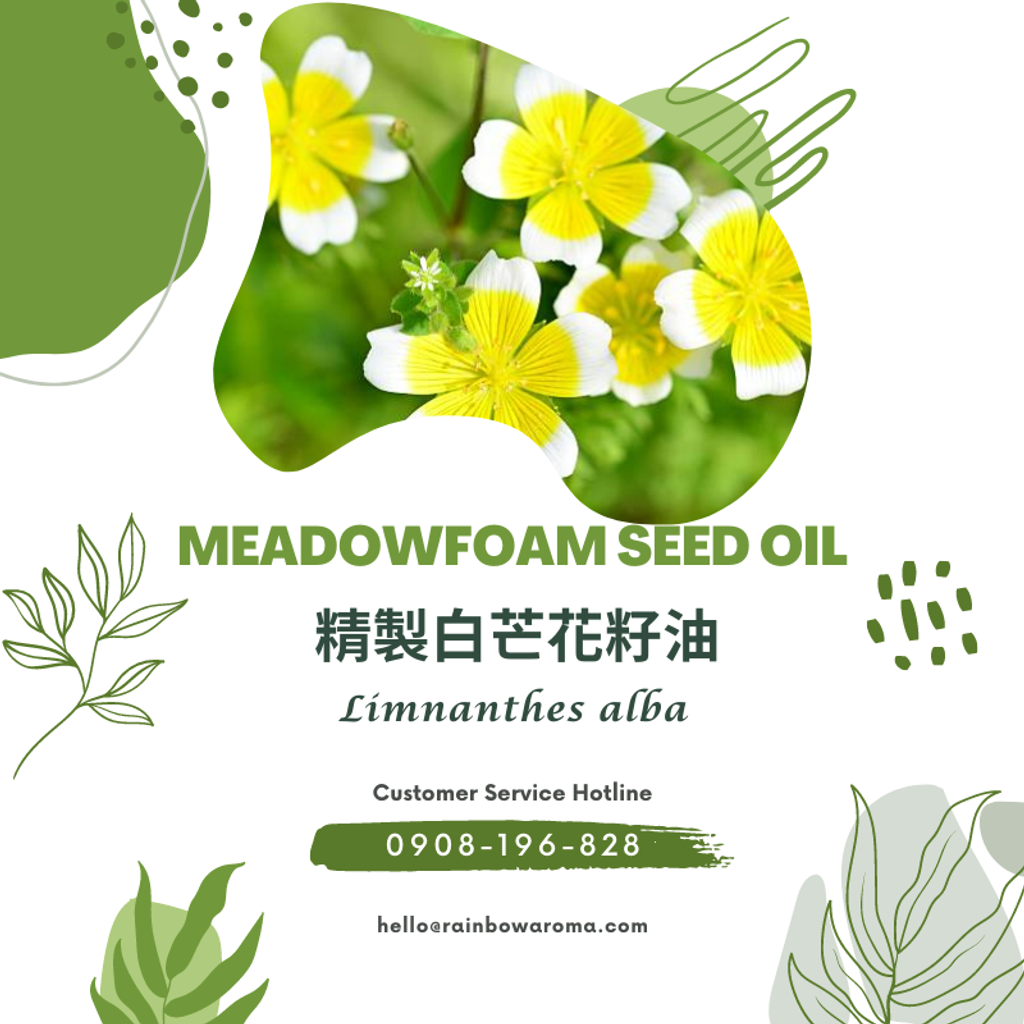6033，Meadowfoam Seed Oil，精製白芒花籽油