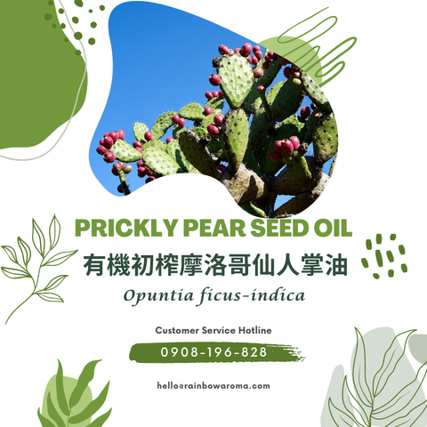 6038，Prickly Pear Seed Oil，有機初榨摩洛哥仙人掌油
