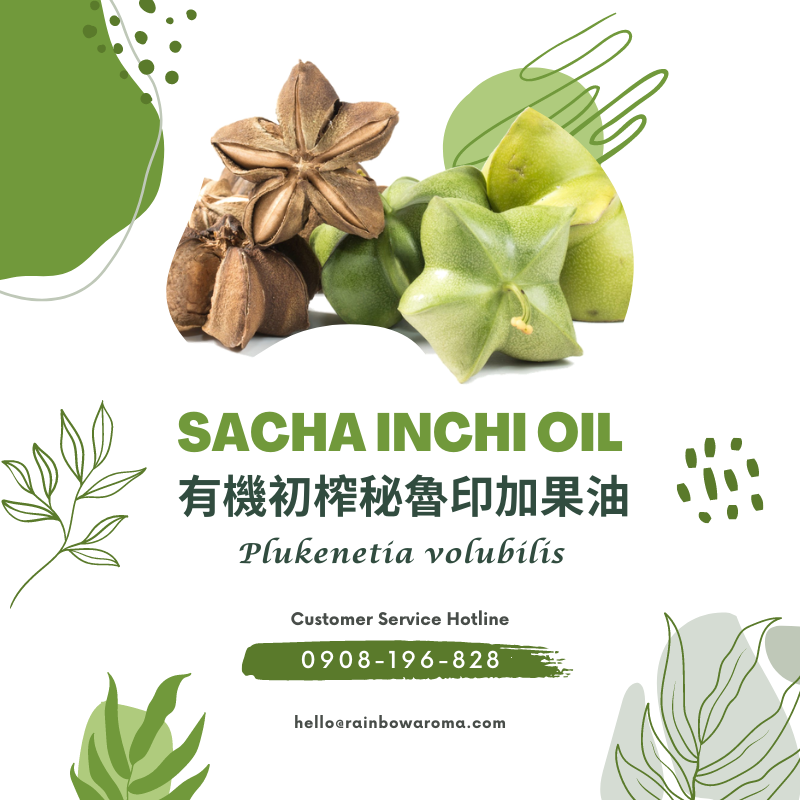 6042，Sacha Inchi Oil，有機初榨秘魯印加果油