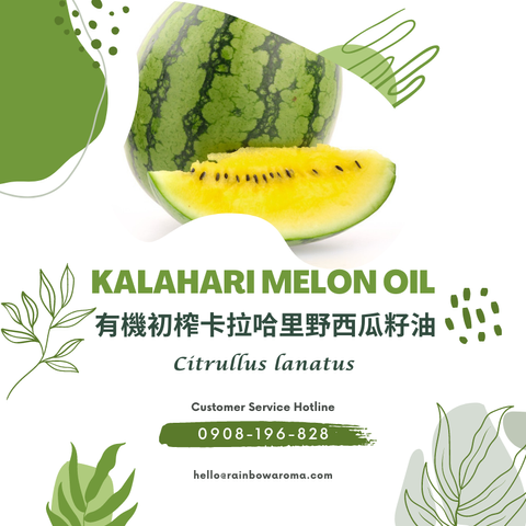 6090，Kalahari Melon Oil，有機初榨非洲野西瓜籽丨卡拉哈里野西瓜籽油