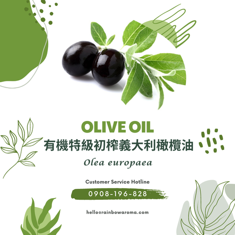 6094，Olive Oil，有機特級初榨義大利橄欖油