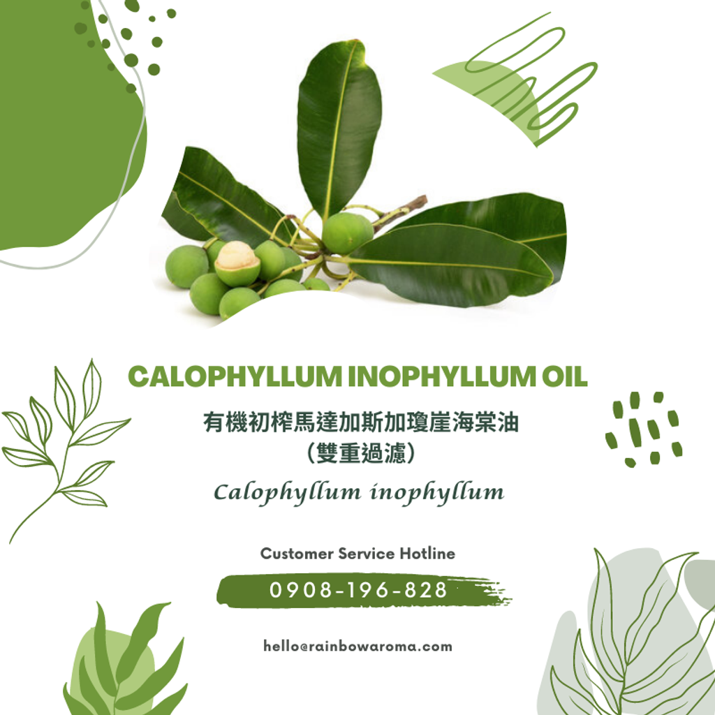 6098，Calophyllum Inophyllum Oil，有機初榨馬達加斯加瓊崖海棠油（雙重過濾）