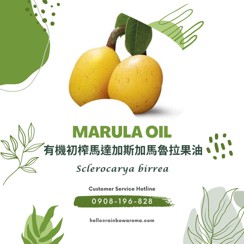 6099，Marula Oil，有機初榨馬達加斯加馬魯拉果油