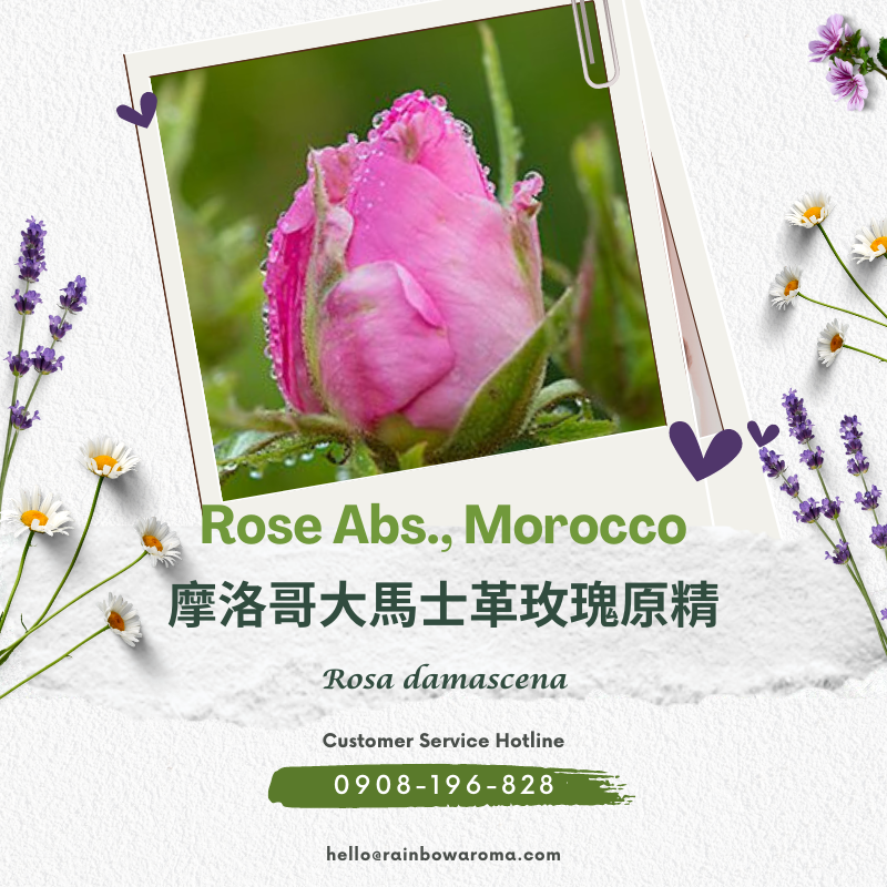 1028，Rose Abs., Morocco，摩洛哥大馬士革玫瑰原精