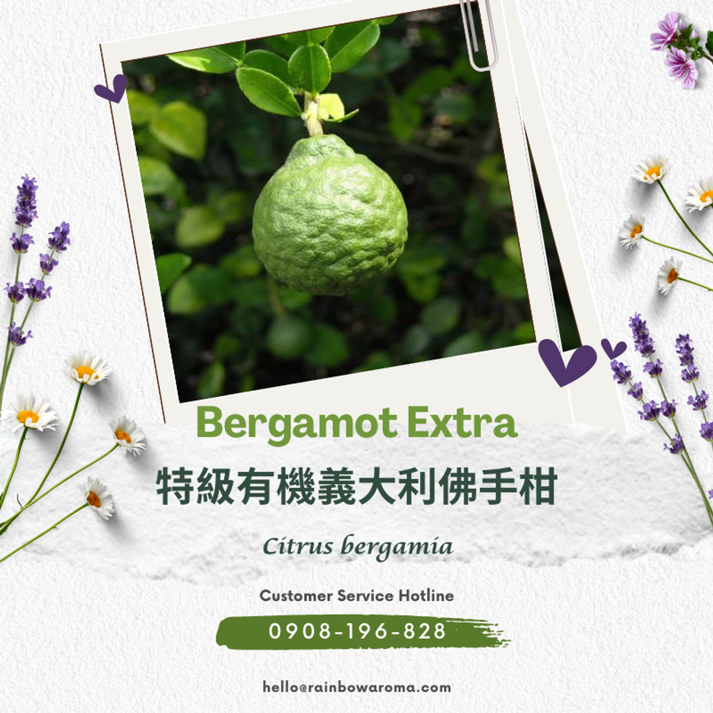 2101，Bergamot Extra，特級有機義大利佛手柑