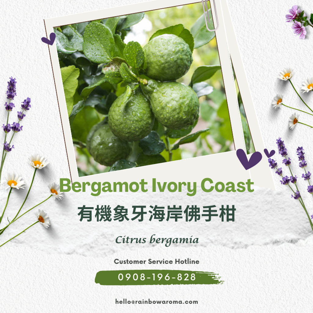 2102，Bergamot Ivory Coast，有機象牙海岸佛手柑