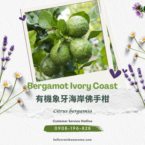2102，Bergamot Ivory Coast，有機象牙海岸佛手柑