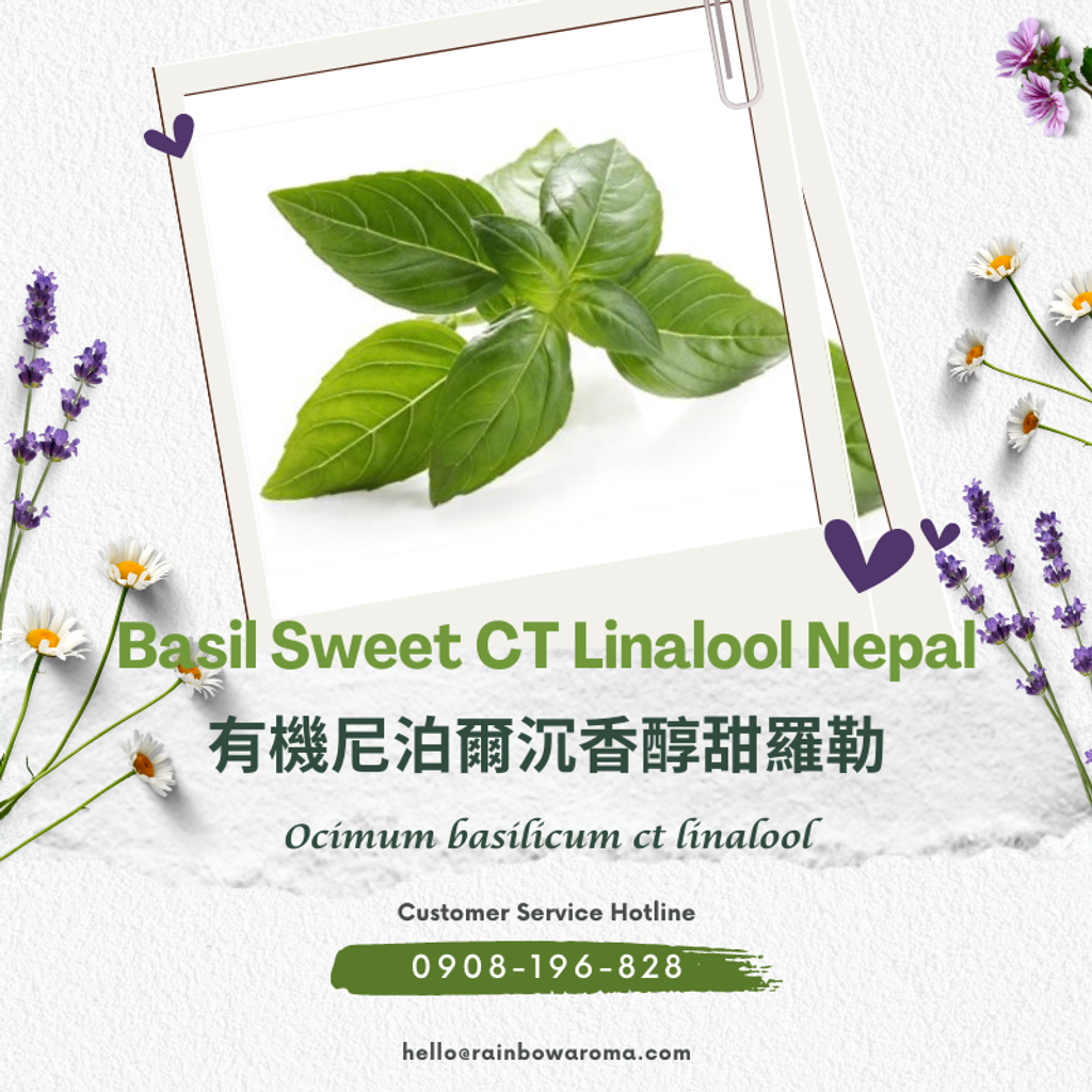 2107，Basil Sweet CT Linalool Nepal，有機尼泊爾沉香醇甜羅勒