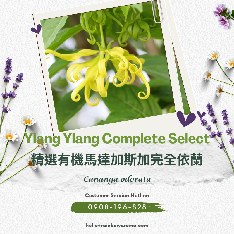 4502，Ylang Ylang Complete Select，精選有機馬達加斯加完全依蘭
