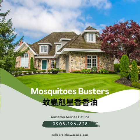 8506 (800 × 800 像素)