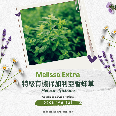 3306 (800 × 800 像素)