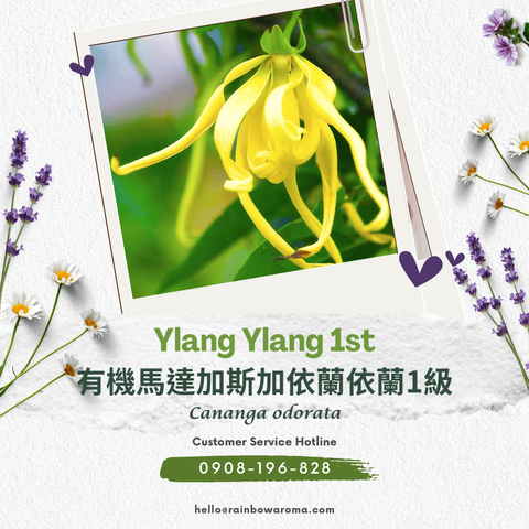 4501 (800 × 800 像素)